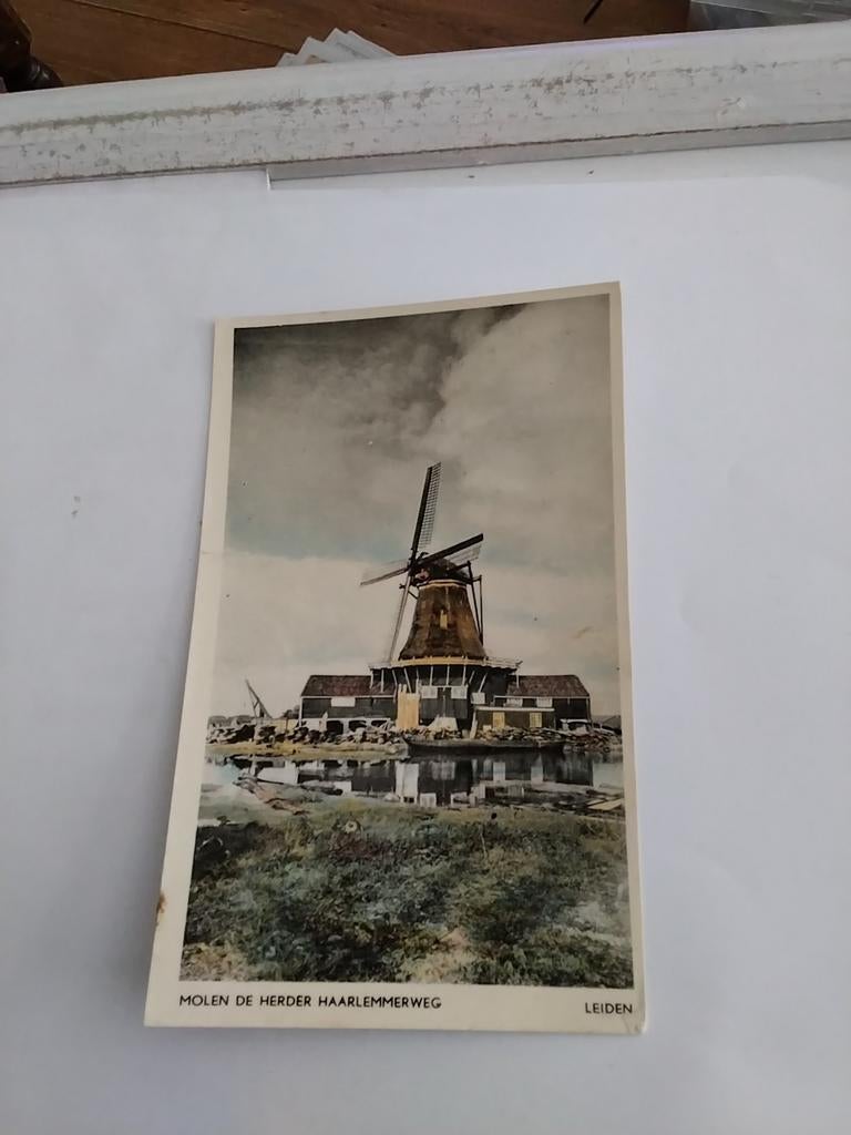 LEIDEN.  MOLEN DE HERDER HAARLEMMERWEG, Ophalen of Verzenden, Voor 1920, Zuid-Holland