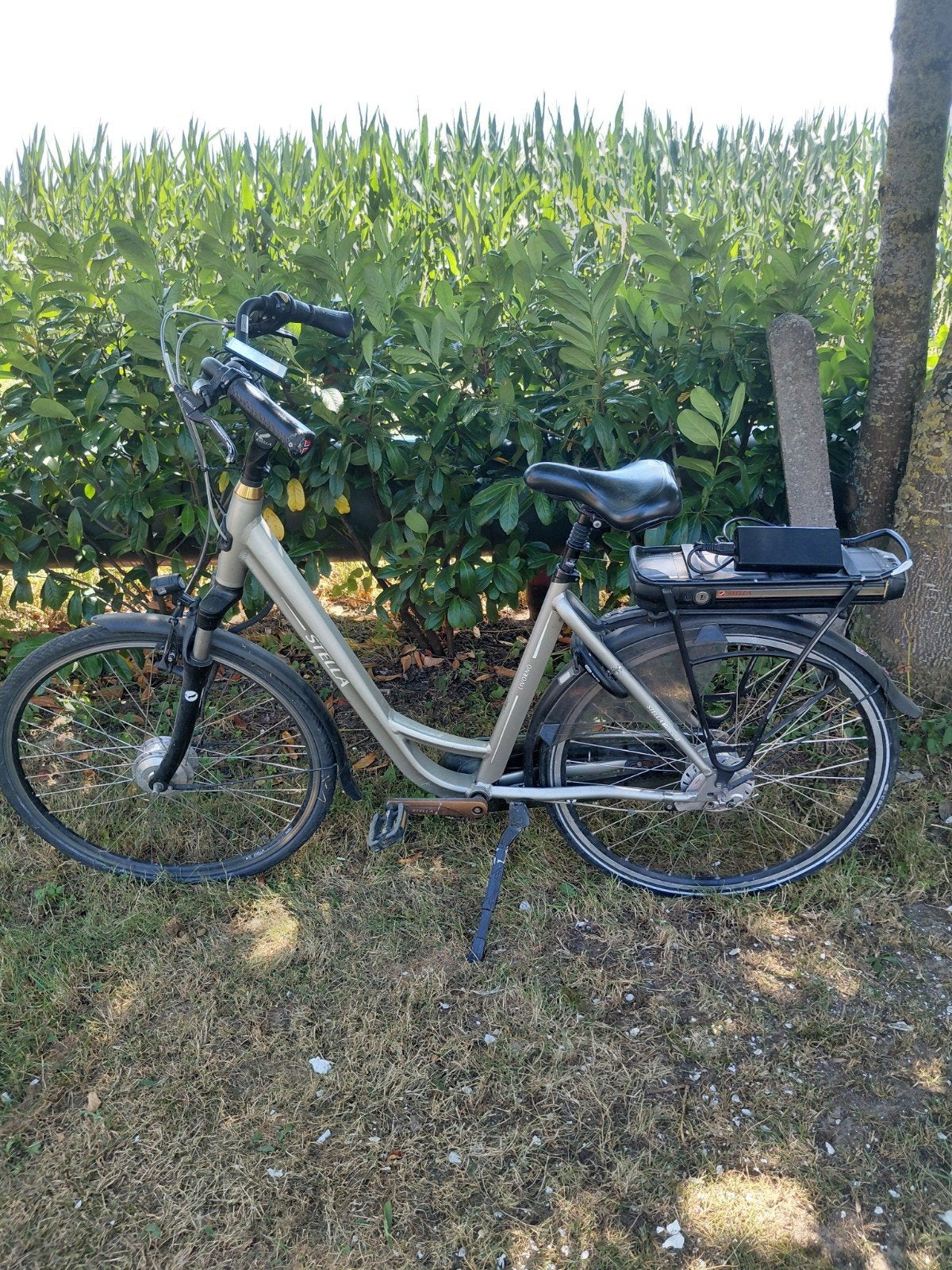 Stella 57 Elektrische Fiets (1816 km), Ophalen, Gebruikt, Overige merken