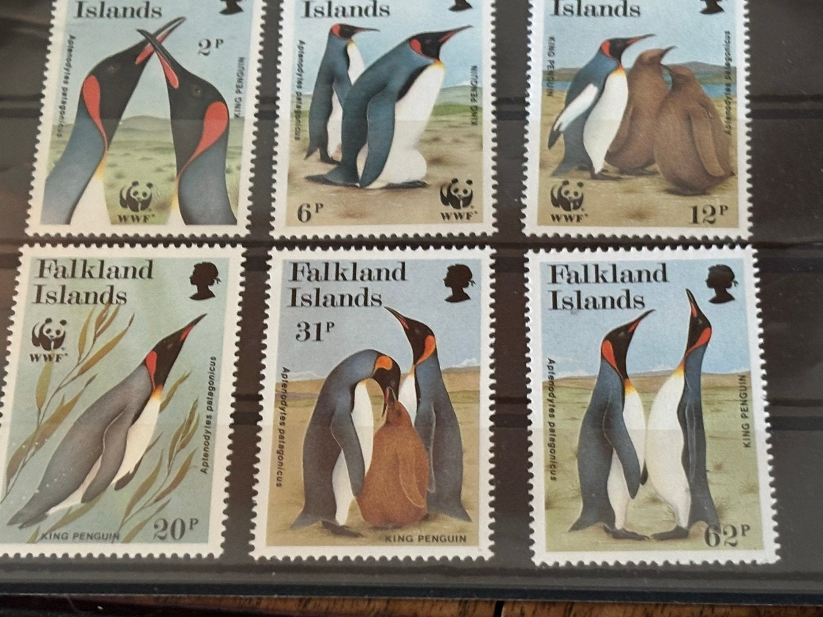 Pinguïns Falkland 1991, Ophalen of Verzenden, Postfris, Dier of Natuur