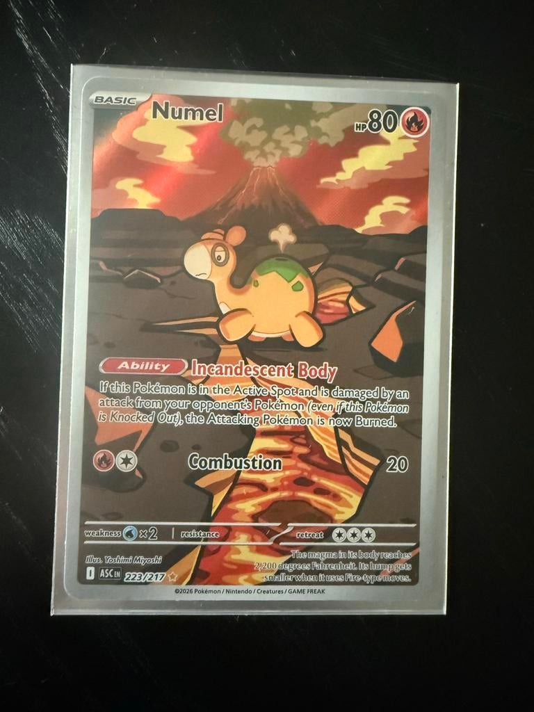 Numel Pokémon kaart, nummer 223/217. ASCENTED HEROES, Ophalen of Verzenden