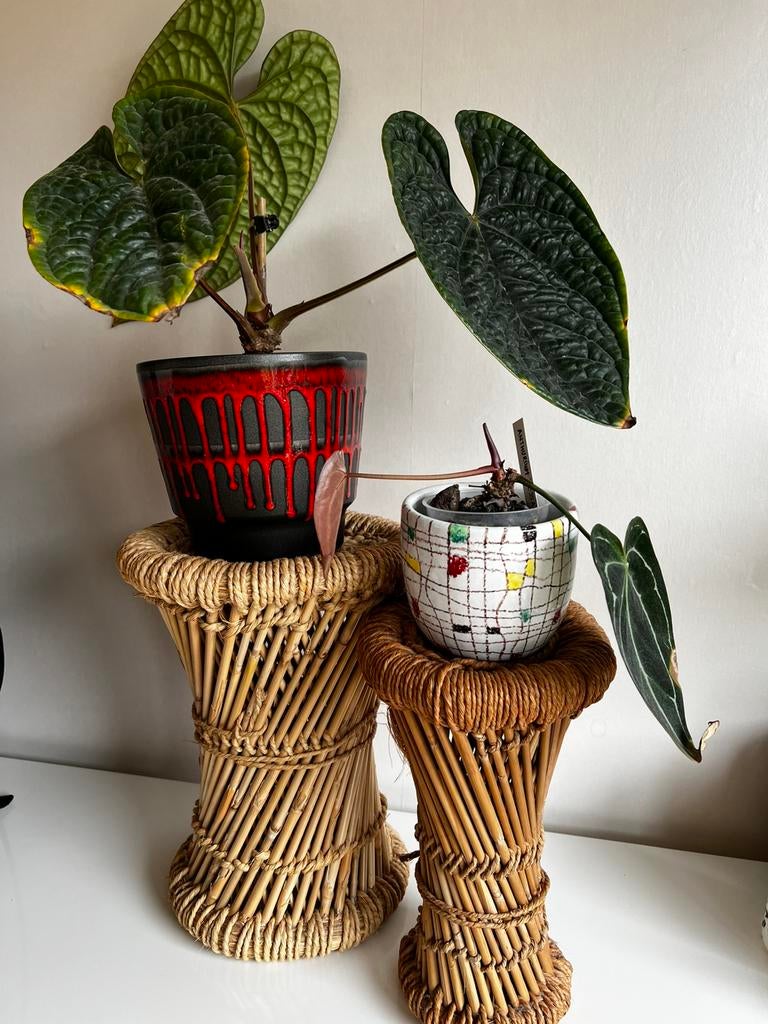 2 Vintage Rotan Touwkrukjes Plantentafeltje Boho Ibiza Style, Ophalen of Verzenden, Zo goed als nieuw, Overige materialen