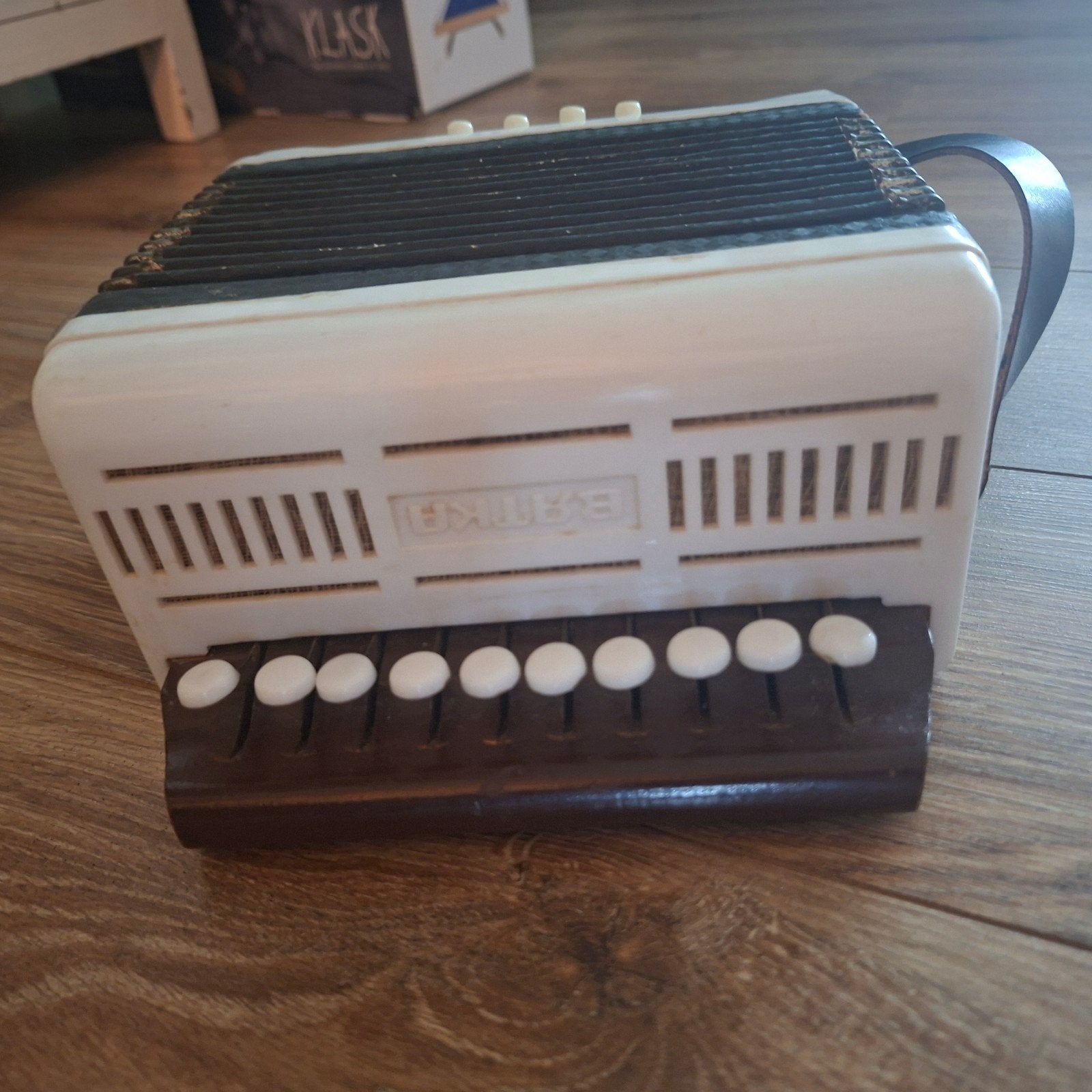 Vintage Brtka Accordeon, Ophalen of Verzenden, Overige formaten, Overige merken, Met riemen