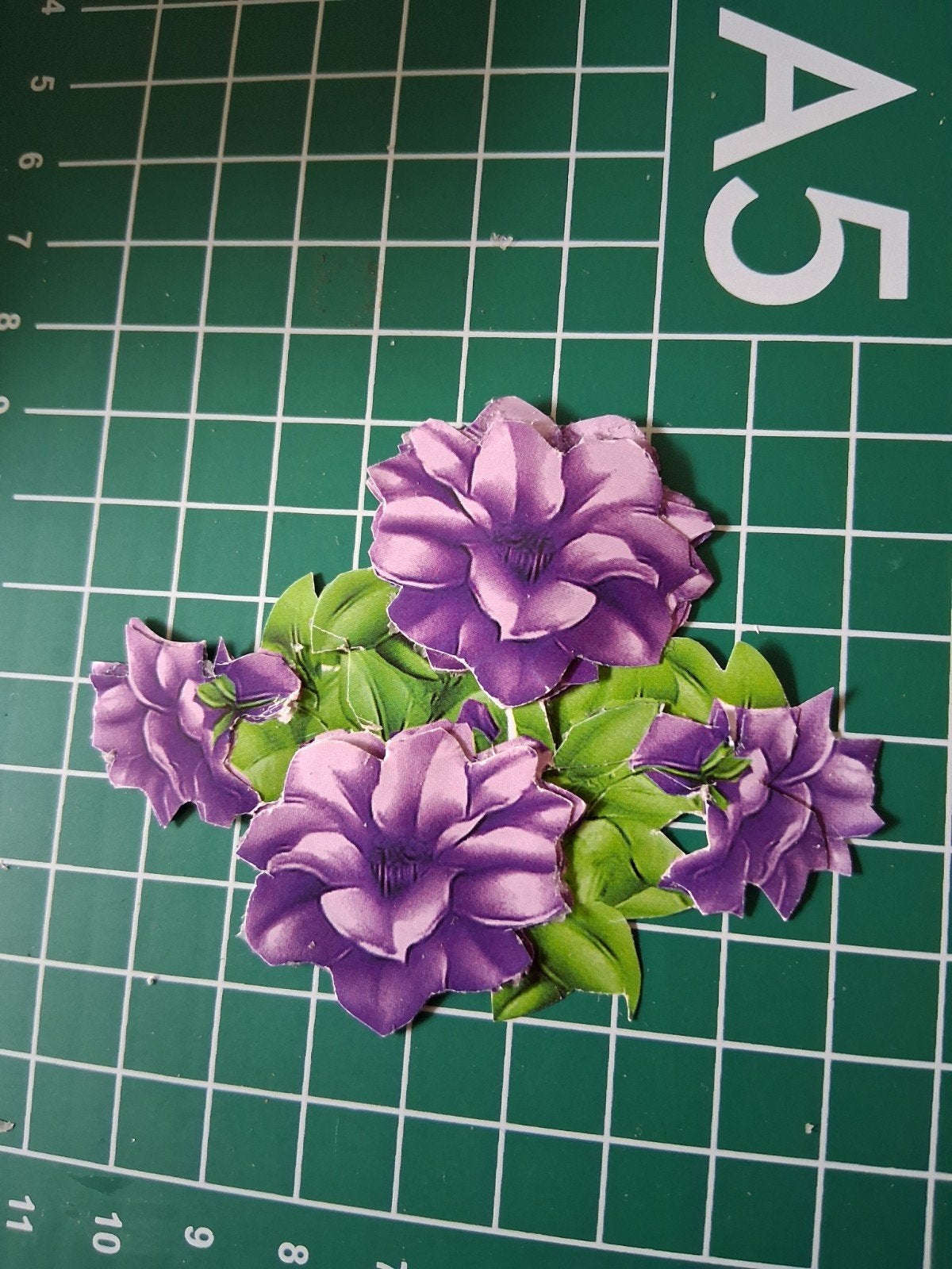 3D plaatje kant en klaar, Ophalen of Verzenden, Nieuw, Overige thema's, Knipvel