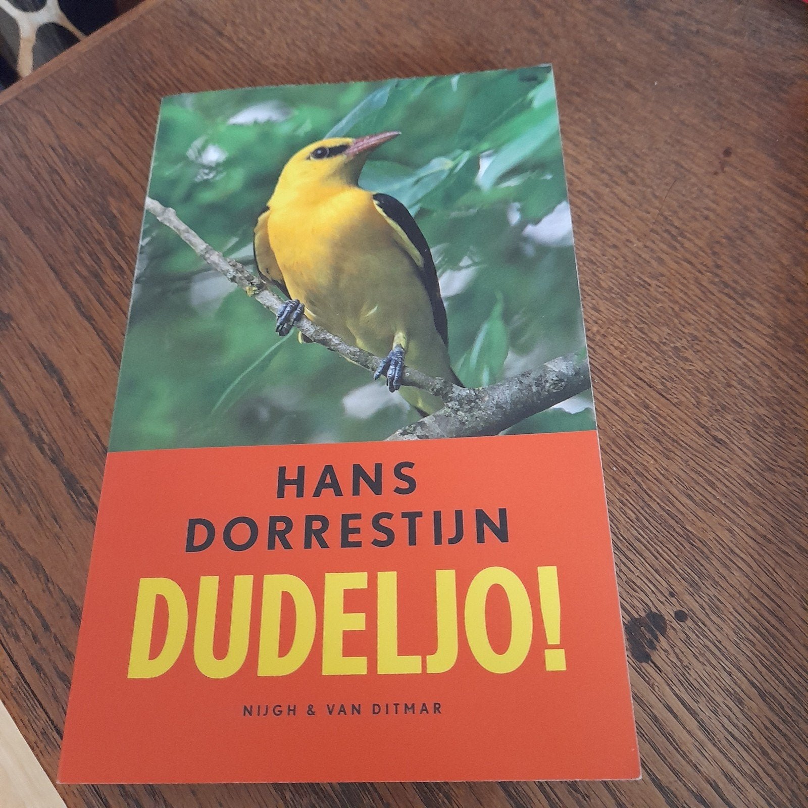 Hans Dorrestijn - Dudeljo!, Ophalen of Verzenden, Nieuw, Hans Dorrestijn, Nederland