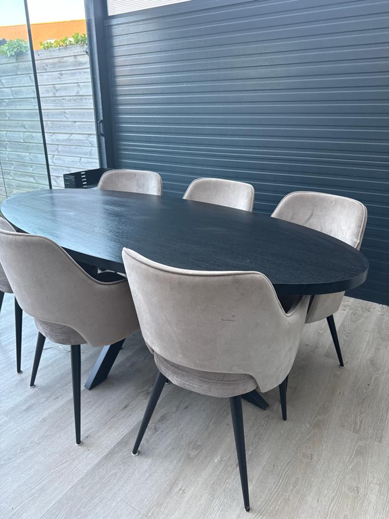 Moderne ovale eettafel met 6 stoelen, 100 tot 150 cm, Ophalen of Verzenden, Zo goed als nieuw, 150 tot 200 cm