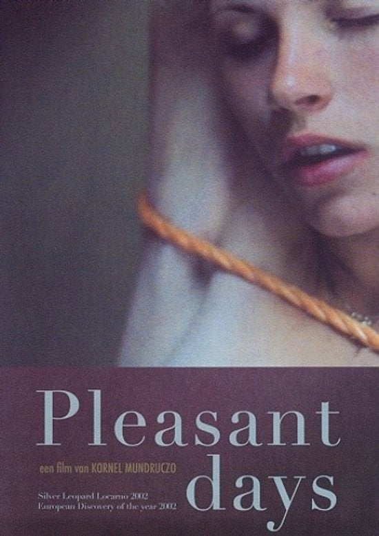 Pleasant Days - Een film van Kornél Mundruczó, Ophalen of Verzenden, Zo goed als nieuw, Overige gebieden