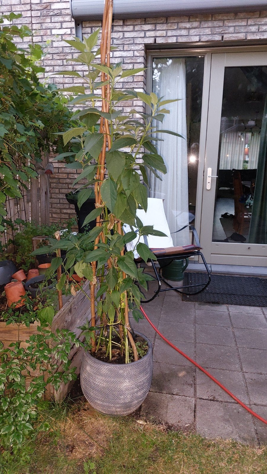Mooie pot met aardperen - Ophalen in Berkel en Rodenrijs, Kunststof, Gebruikt, 40 cm of meer, Rond