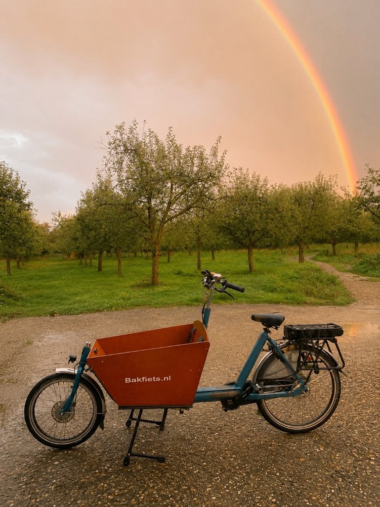 Elektrische bakfiets Cargo Bike Short E-Bike Nieuwe accu, Fietsen en Brommers, Ophalen, Nieuw, 4 kinderen of meer, Elektrisch