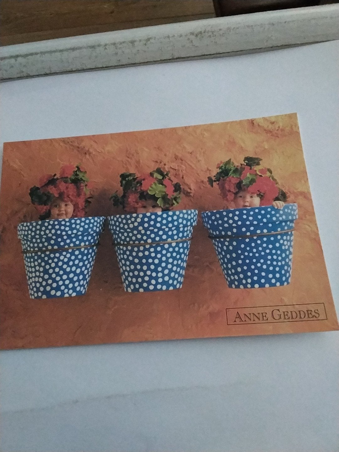 Ansichtkaart Anne Geddes - Baby's in bloempotten, Verzamelen, Ophalen of Verzenden, 1980 tot heden, Gelopen