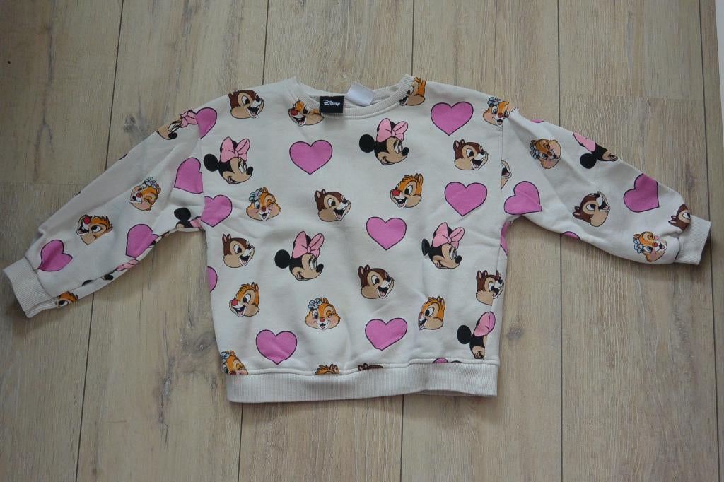 Zara Disney trui - maat 116, Gebruikt, Meisje, Trui of Vest, Ophalen of Verzenden