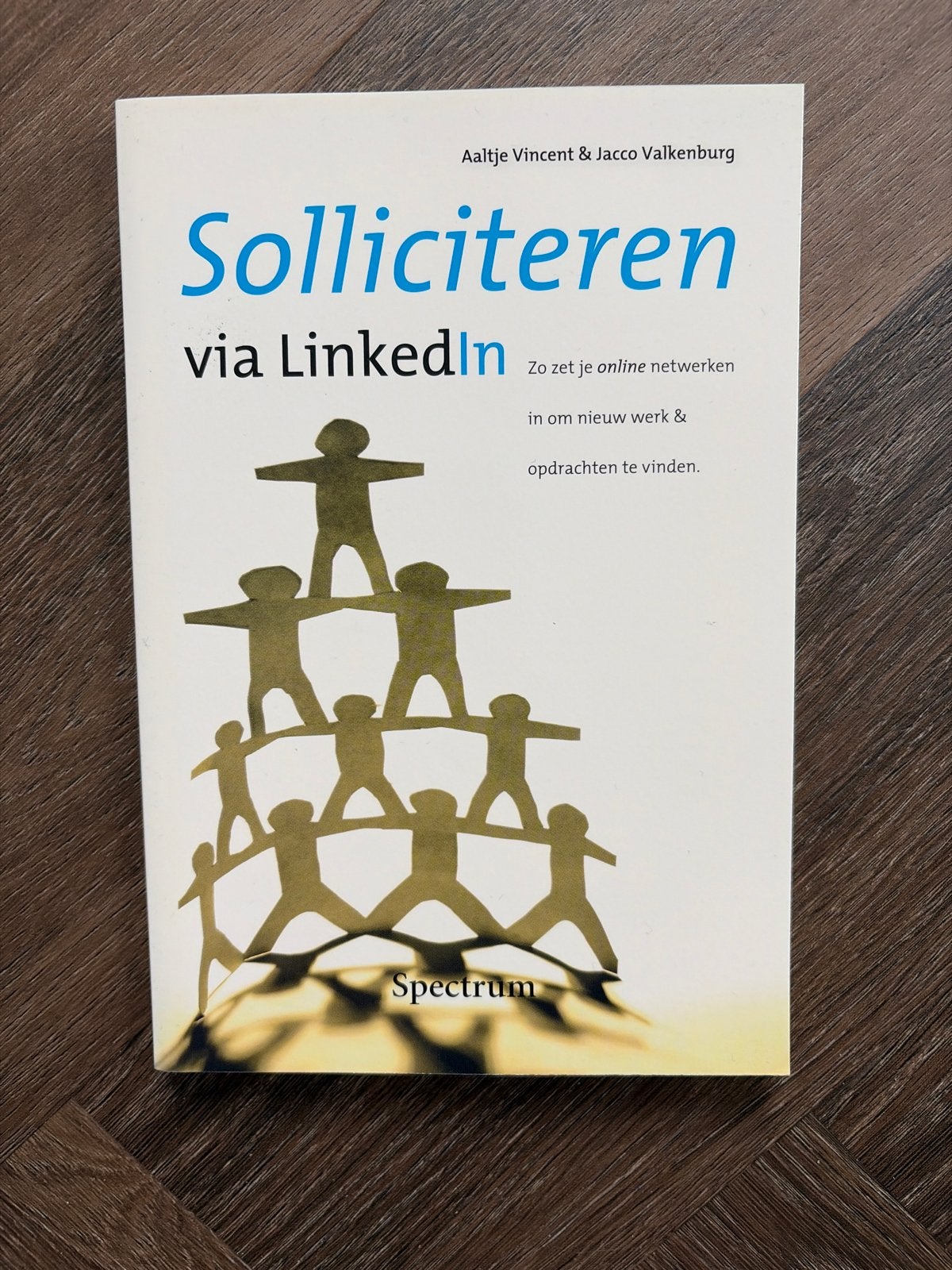 Solliciteren via LinkedIn - Zo zet je online netwerken in, Ophalen of Verzenden, Zo goed als nieuw
