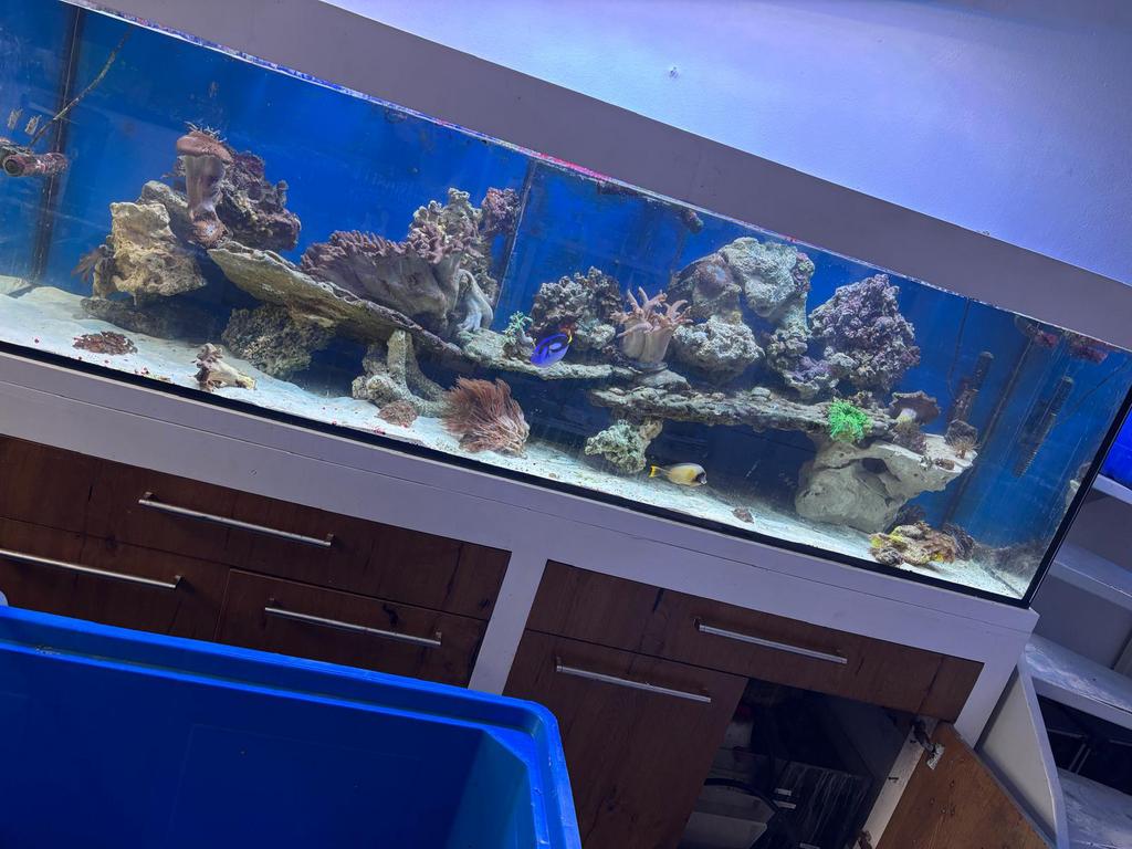 Aquaja diamond aquarium, Dieren en Toebehoren, Ophalen of Verzenden, Zo goed als nieuw