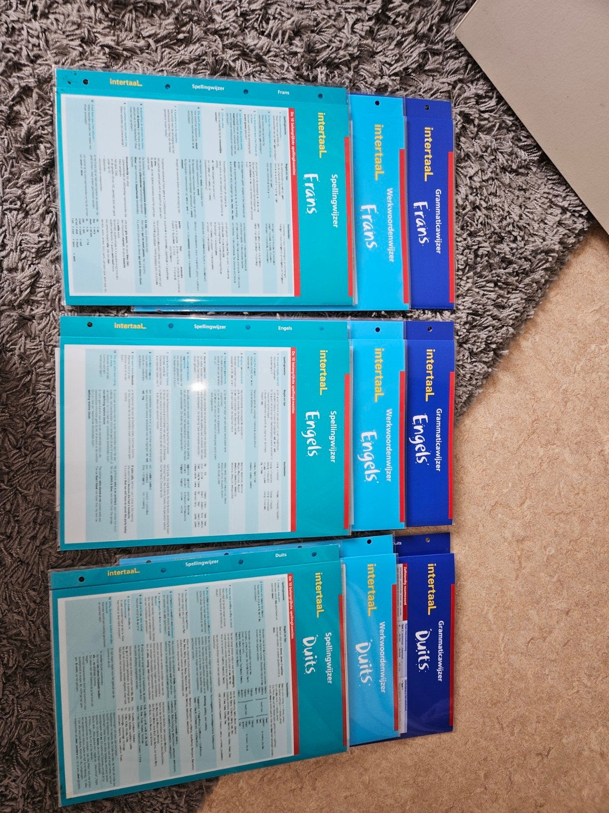 Intertaal Spellingwijzer, Werkwoordenwijzer Grammaticawijzer, Boeken, Studieboeken en Cursussen, Ophalen of Verzenden, Beta, Zo goed als nieuw