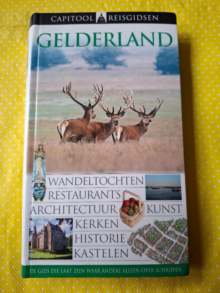 Capitool reisgids Gelderland, Boeken, Reisgidsen, Gelezen, Capitool, Ophalen of Verzenden, Reisgids of -boek