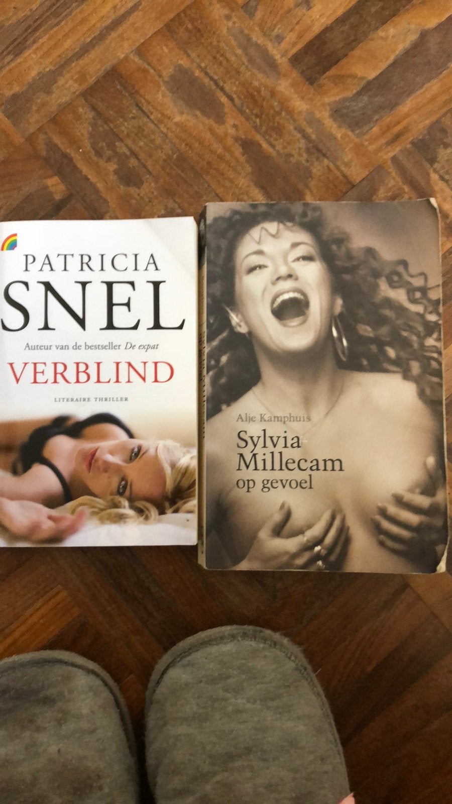 Boek over Silvia Millecam “op gevoel”, Ophalen of Verzenden, Gelezen, Film, Tv en Media