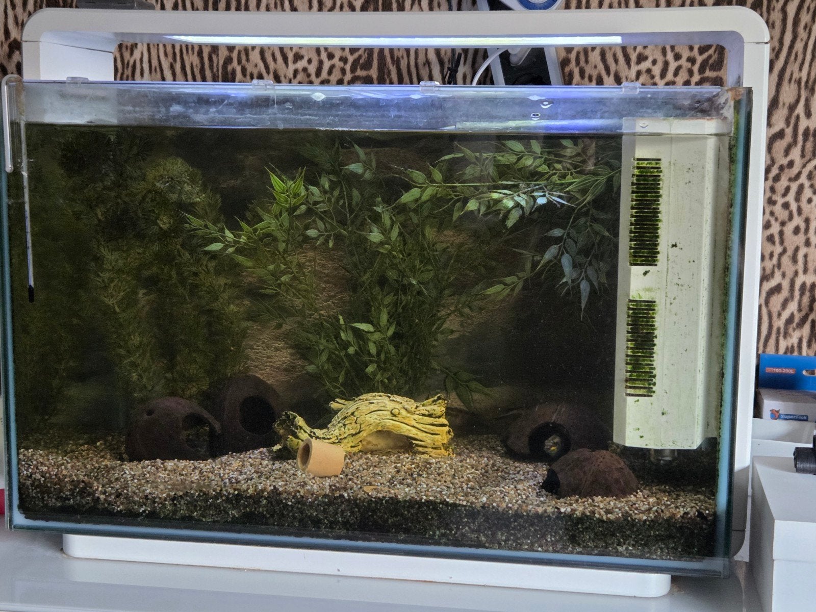 Tekoop Aqarium super fish  met vissen, Ophalen, Gevuld zoetwateraquarium