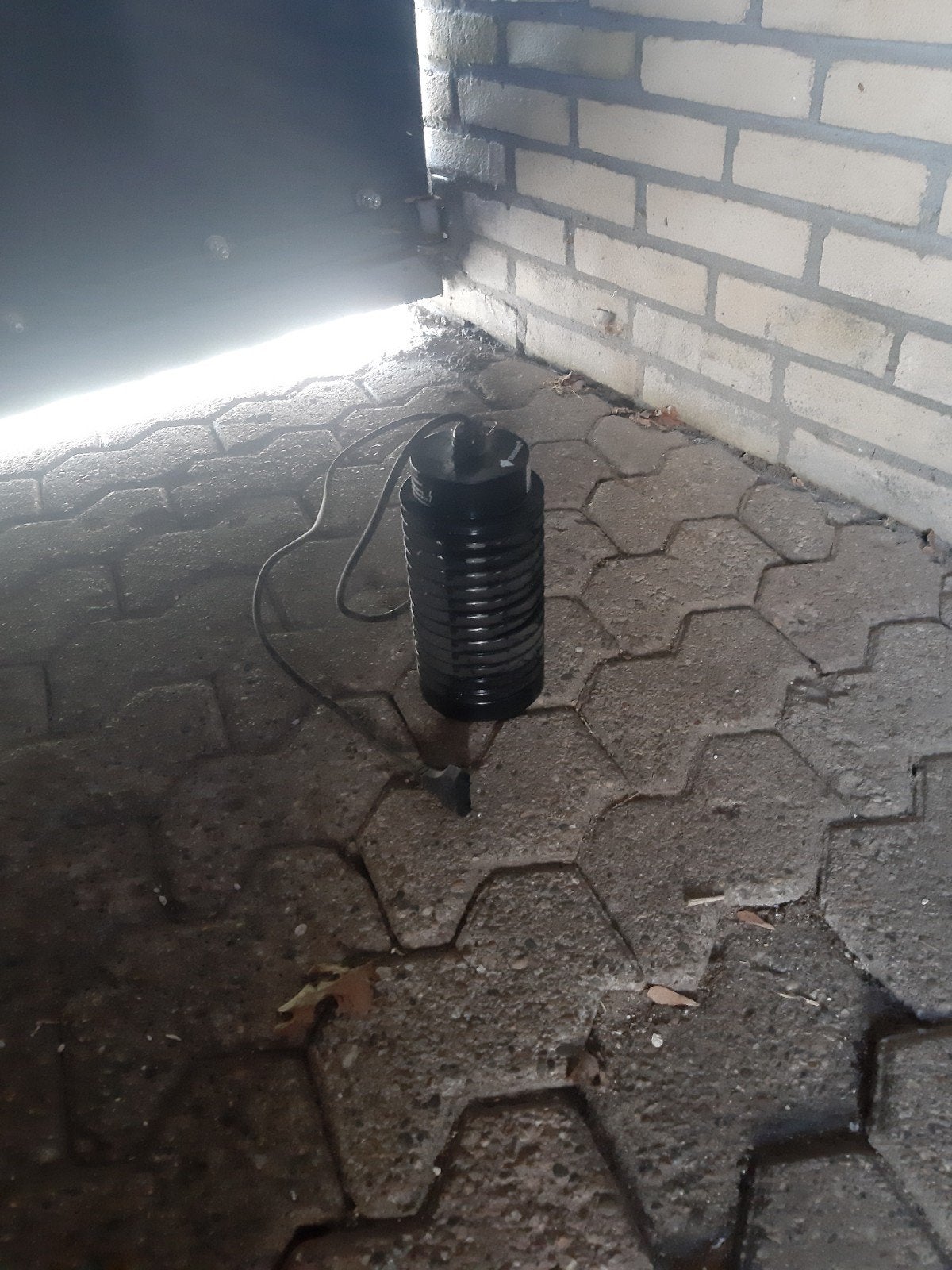 Insecten lamp, Overige soorten
