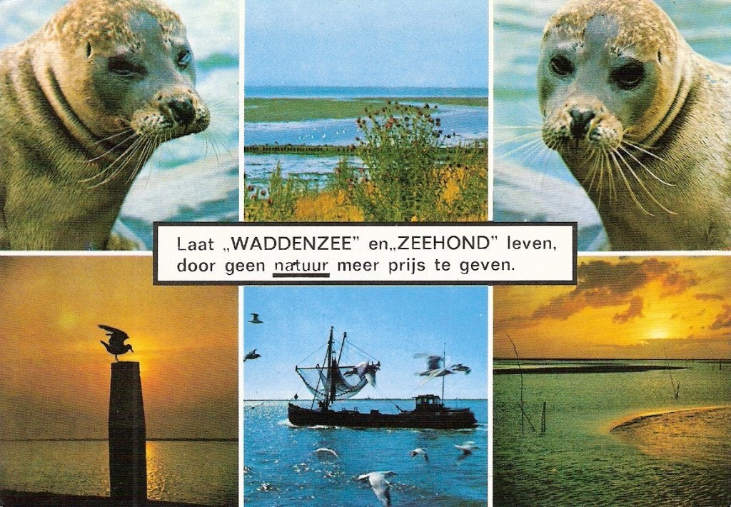 Texel  315, Ophalen of Verzenden, Voor 1920, Waddeneilanden