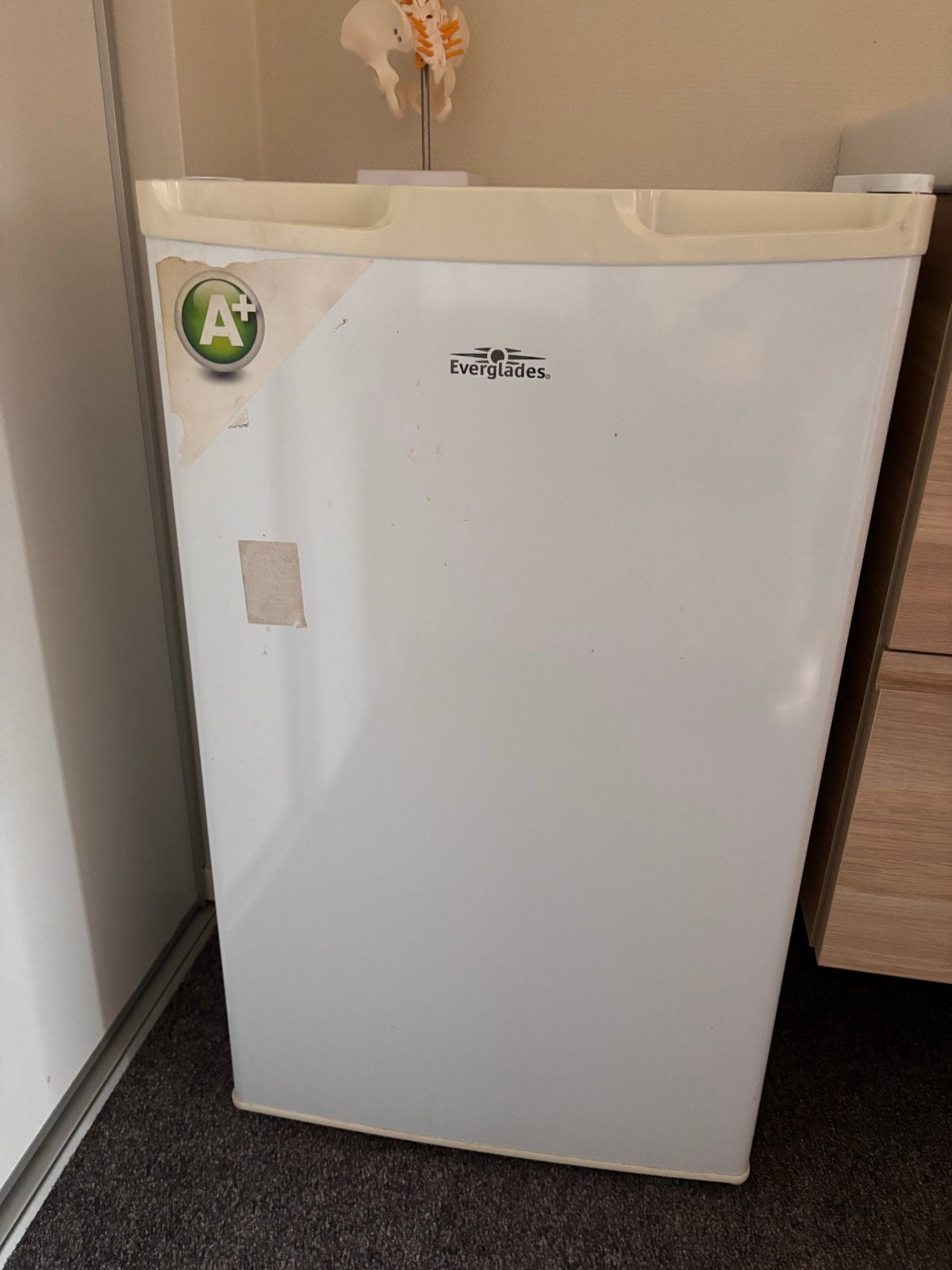 Everglades Koelkast - Compact en Energiezuinig (A+), Zonder vriesvak, 75 tot 100 liter, Zo goed als nieuw, Energieklasse A of zuiniger