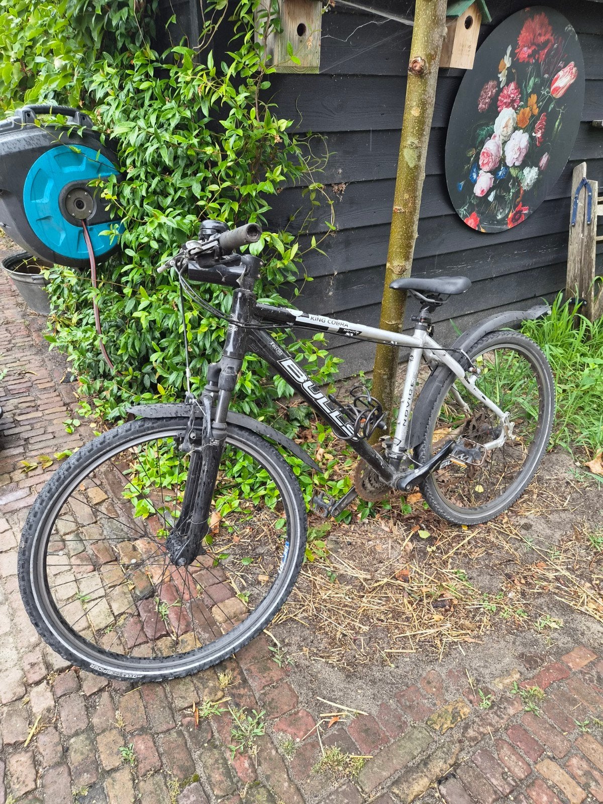 Bulls king cobra Mountainbike - Gebruikt, Goede Staat, Gebruikt, Vering, Velgrem, Minder dan 49 cm