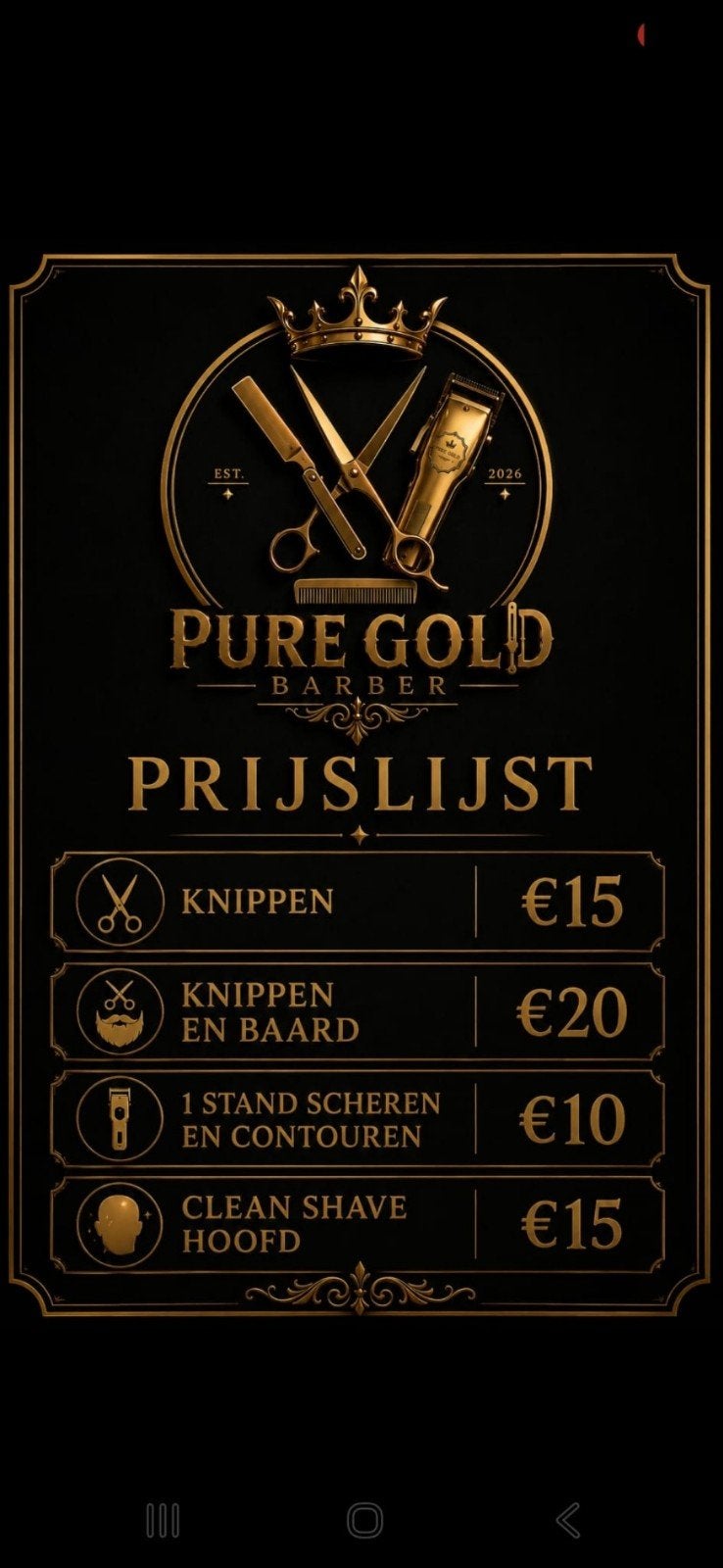gediplomeerd beginnende kapper!!!, Sieraden, Tassen en Uiterlijk, Ophalen of Verzenden, Nieuw, Pruik of Haarverlenging