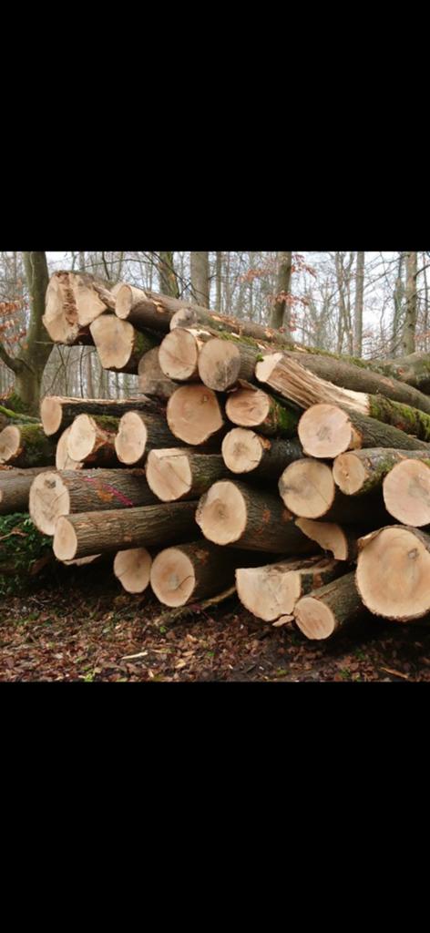 Kwaliteits haardhout te koop!, Tuin en Terras, 6 m³ of meer, Ophalen of Verzenden