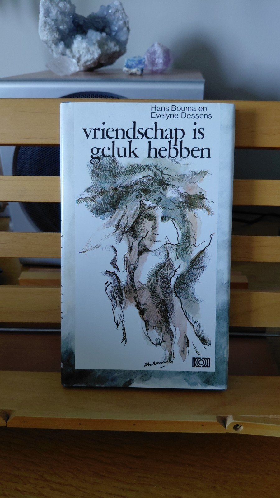 Vriendschap is geluk hebben - Hans Bouma en Evelyne Dessens, Ophalen of Verzenden, Gelezen, Hans Bouma en Evelyne Dessens, Nederland