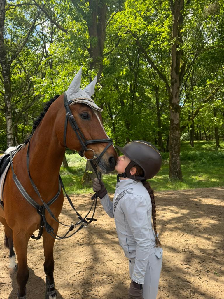 Gezocht: lieve paardenverzorger