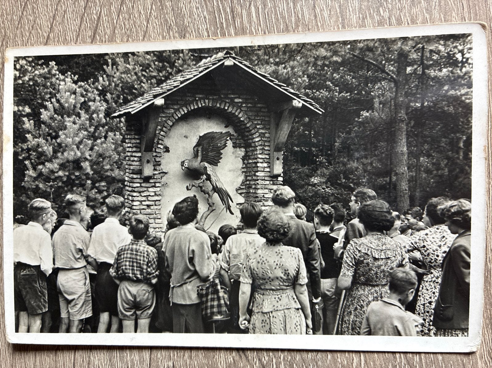 Zeldzame Oude Ansichtkaart Efteling Sprookjesbos 1950s, Ophalen of Verzenden, Gebruikt, Overige typen