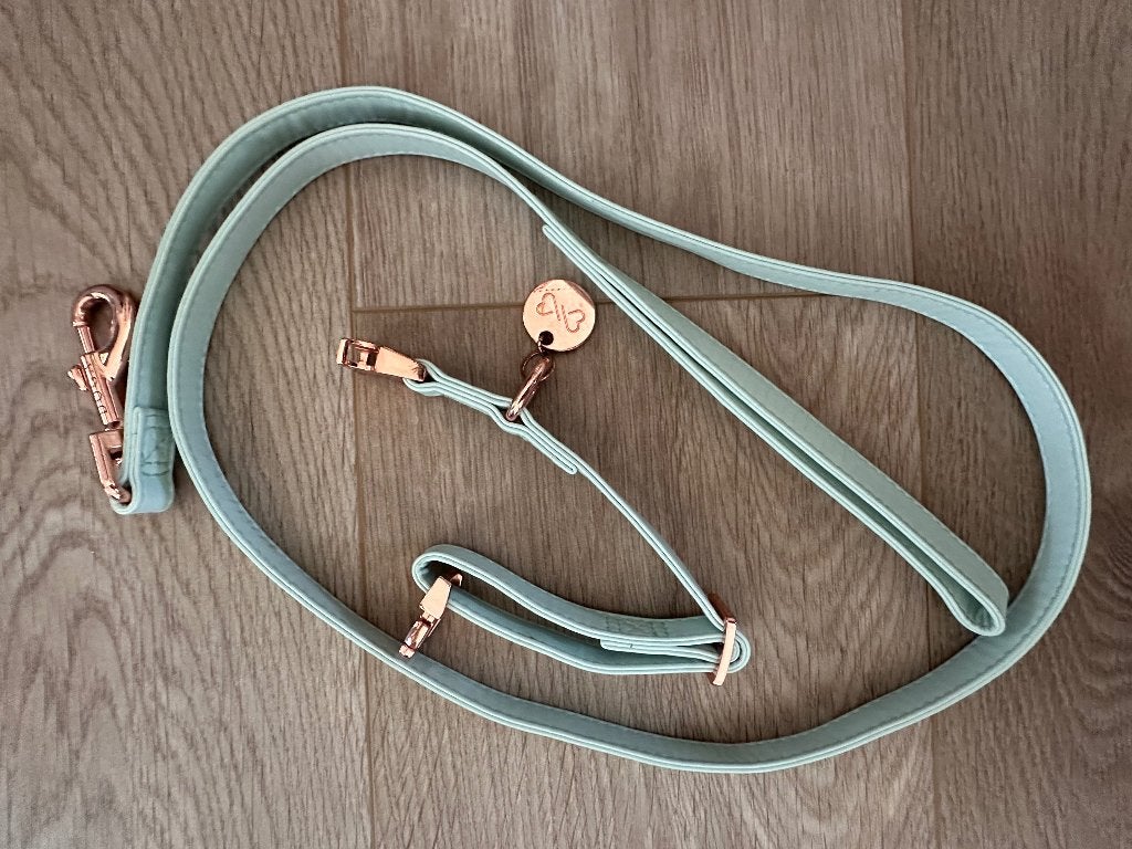 Doga honden lijn en halsband, Ophalen, Gebruikt, Hondenriem