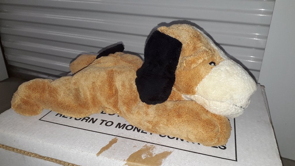 Knuffel hond ca. 30 cm - nieuw, Ophalen of Verzenden, Nieuw, Hond