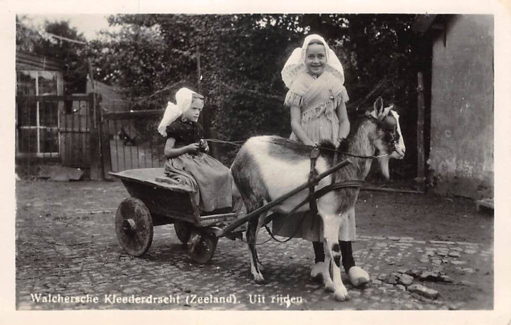 Walcheren Klederdracht Bokkenwagen Zeeland Kind, Ophalen of Verzenden, 1940 tot 1960, Gelopen, Zeeland