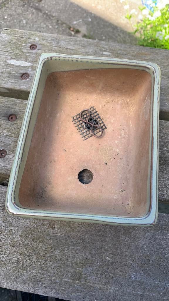 Bonsai schaal, Rond, Ophalen of Verzenden, Zo goed als nieuw, Aardewerk