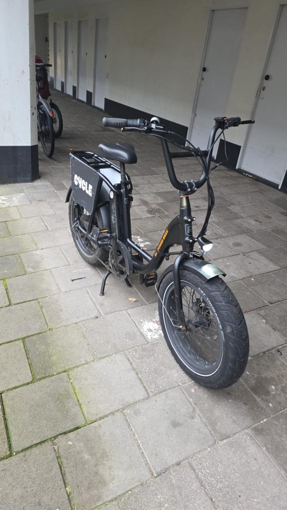 Rad runner e-bike, Ophalen of Verzenden, Gebruikt, Overige merken