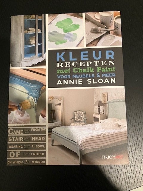 Annie Sloan - Kleurrecepten met chalk paint, Ophalen of Verzenden, Nieuw, Tekenen en Schilderen, ANNIE SLOAN