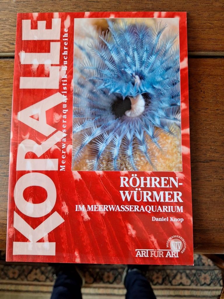 KORALLE Röhrenwürmer im Meerwasseraquarium, Ophalen of Verzenden, Nieuw