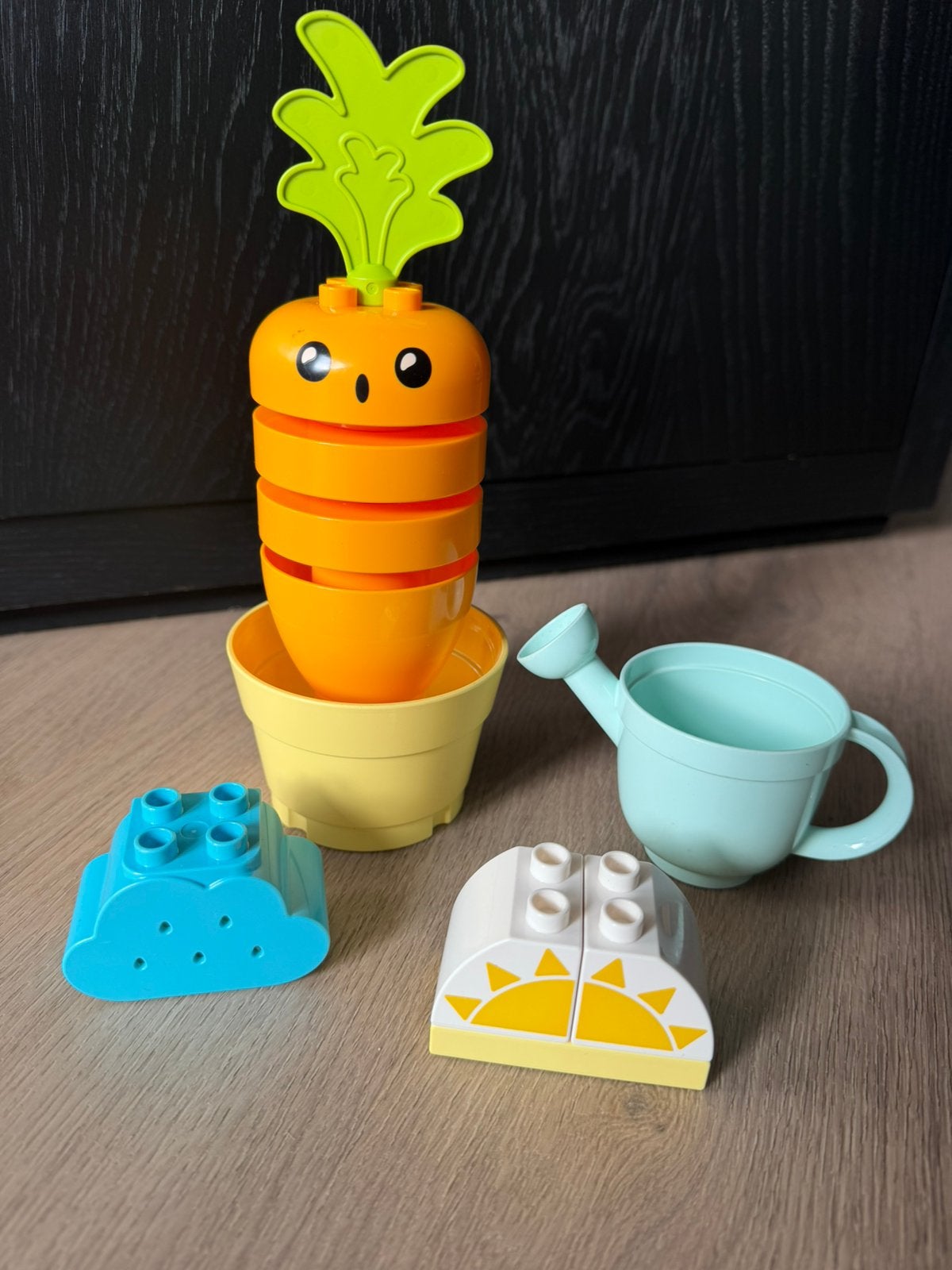 Duplo - mijn eerste groeiende wortel 10981, Ophalen, Duplo