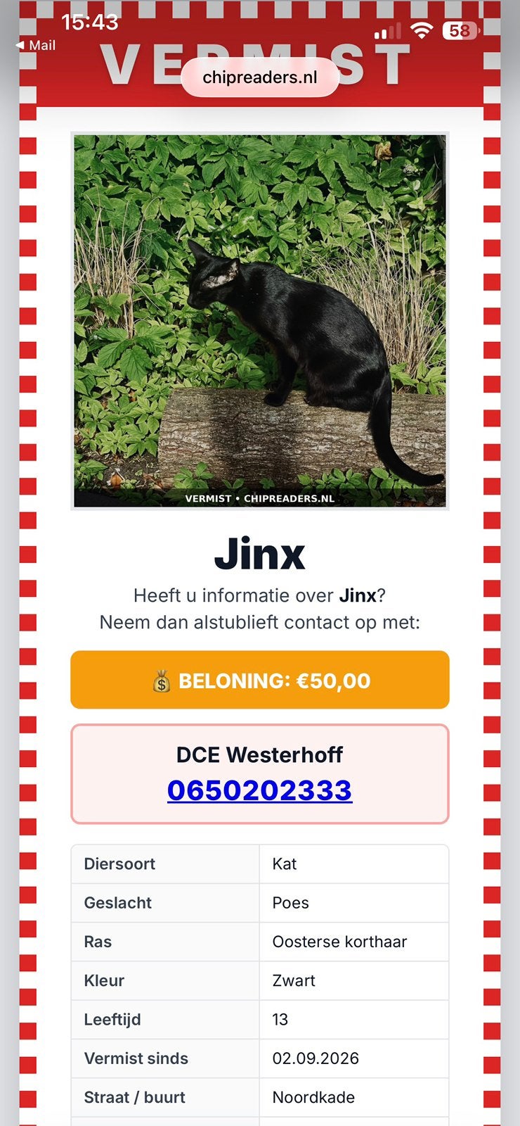 Wie heeft mijn kat Jinx gezien, Dieren en Toebehoren, Kat