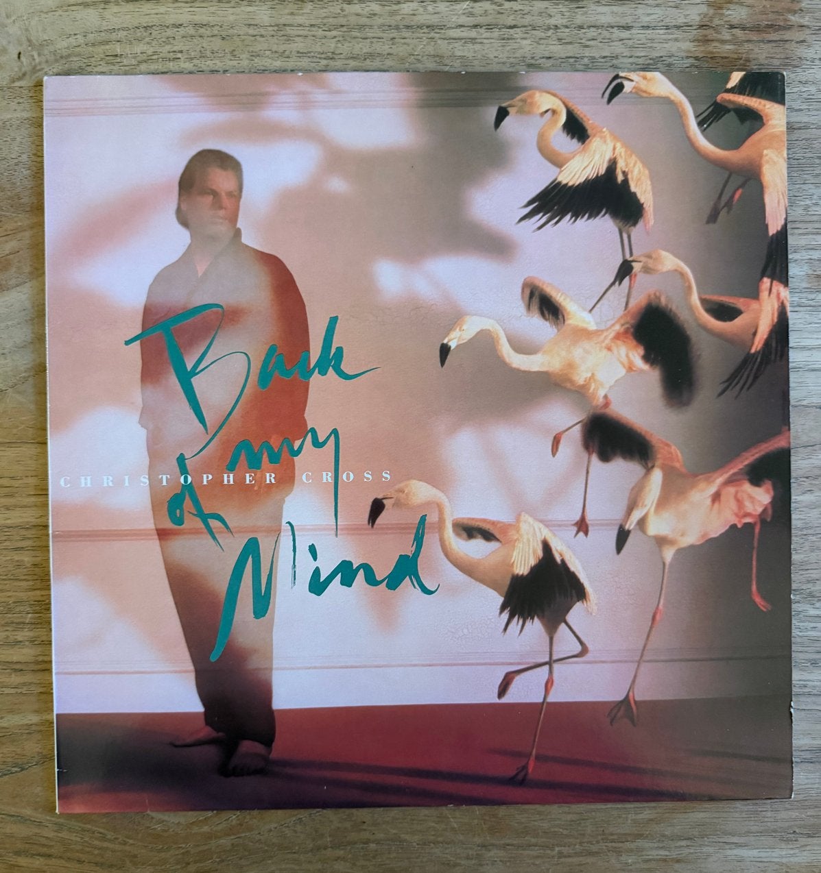 Christopher Cross - Back of My Mind LP (Pop, 1988), LP, Gebruikt, Pop, Ophalen of Verzenden