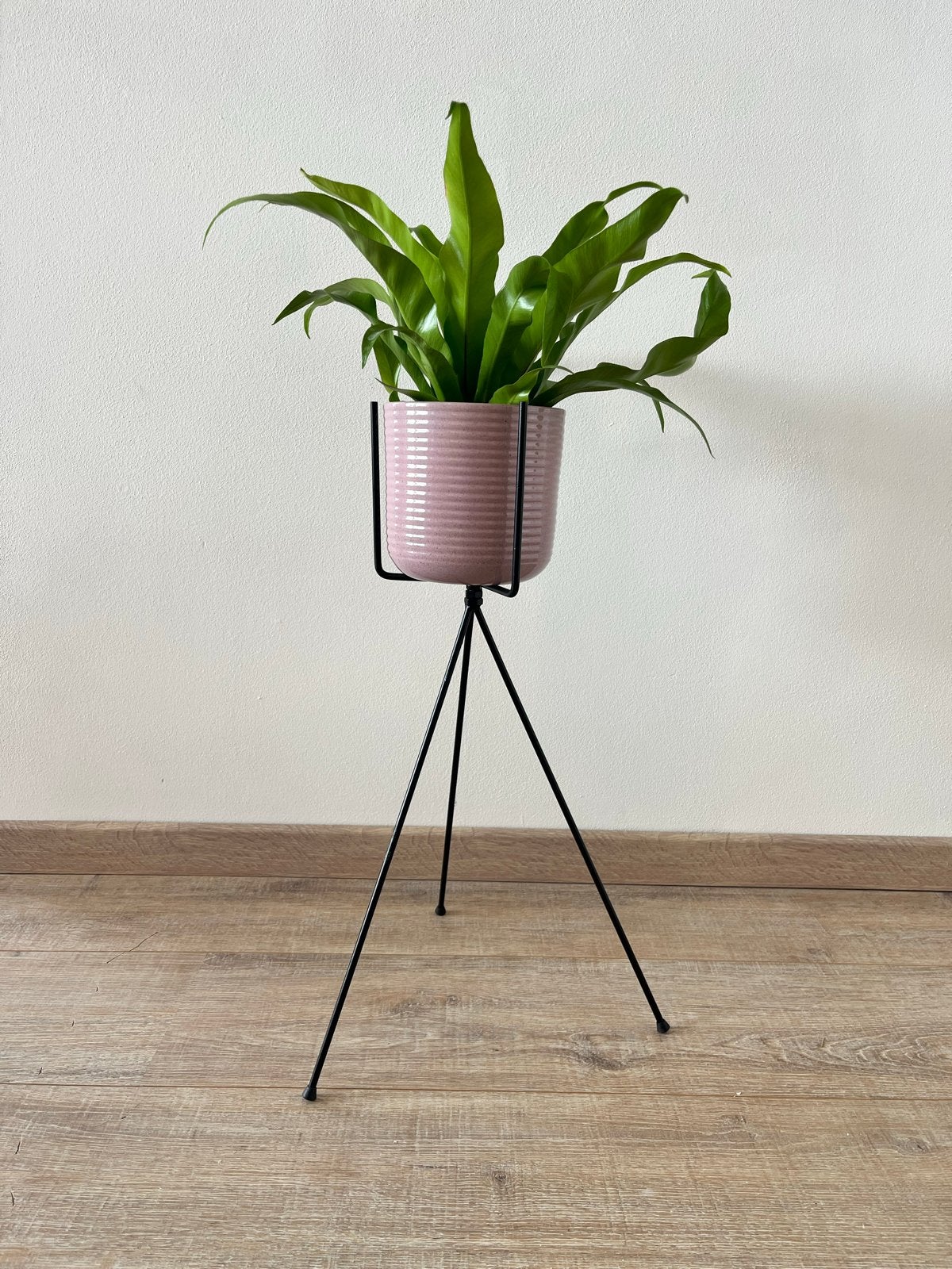 Zwart metalen plantenstandaard - 53cm hoog, Huis en Inrichting, Woonaccessoires | Overige, Ophalen, Zwart, Nieuw, Metaal