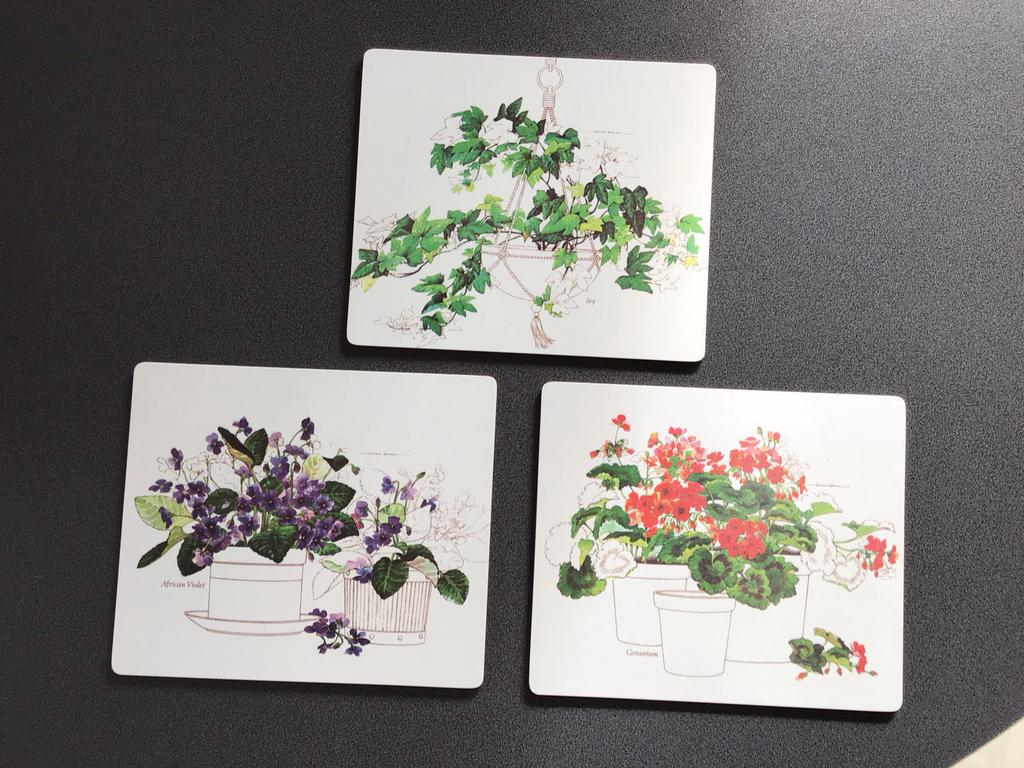 3 melamine onderzetters met plantenprint, Ophalen of Verzenden, Gebruikt, Overig