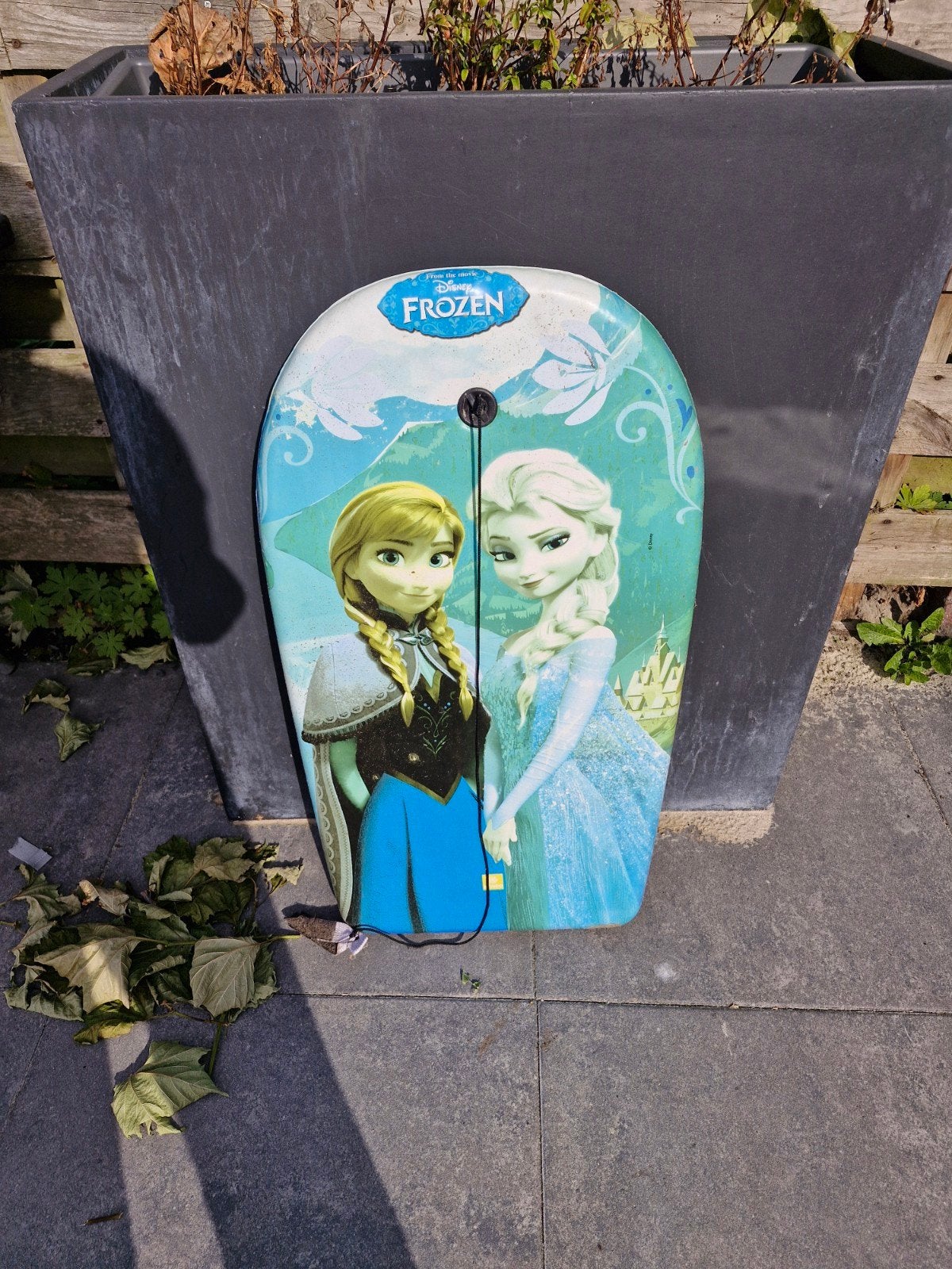 gratis frozen body board, Watersport en Boten, Ophalen of Verzenden