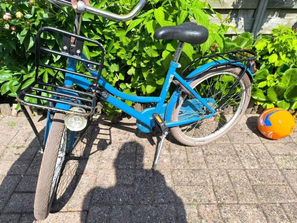 22” Cargo ALPINA meisjesfiets te koop., Ophalen, Terugtraprem, 22 inch, Gebruikt
