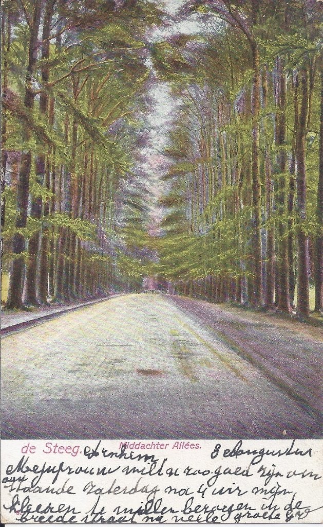 De Steeg Middachter Allee Oude Gelopen Ansichtkaart (y971, Ophalen of Verzenden, 1920 tot 1940, Gelopen, Gelderland