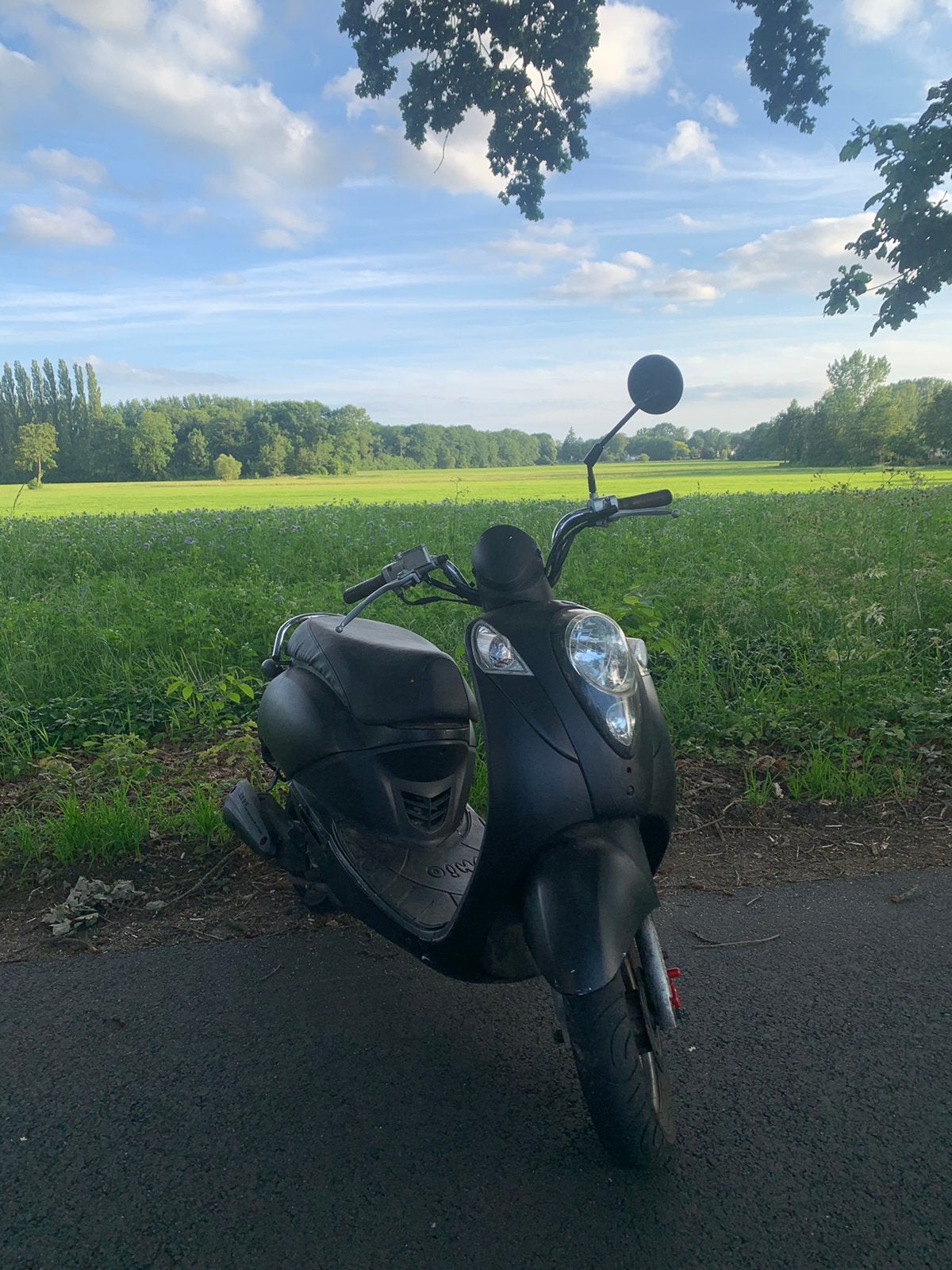 Sym mio brom 50cc