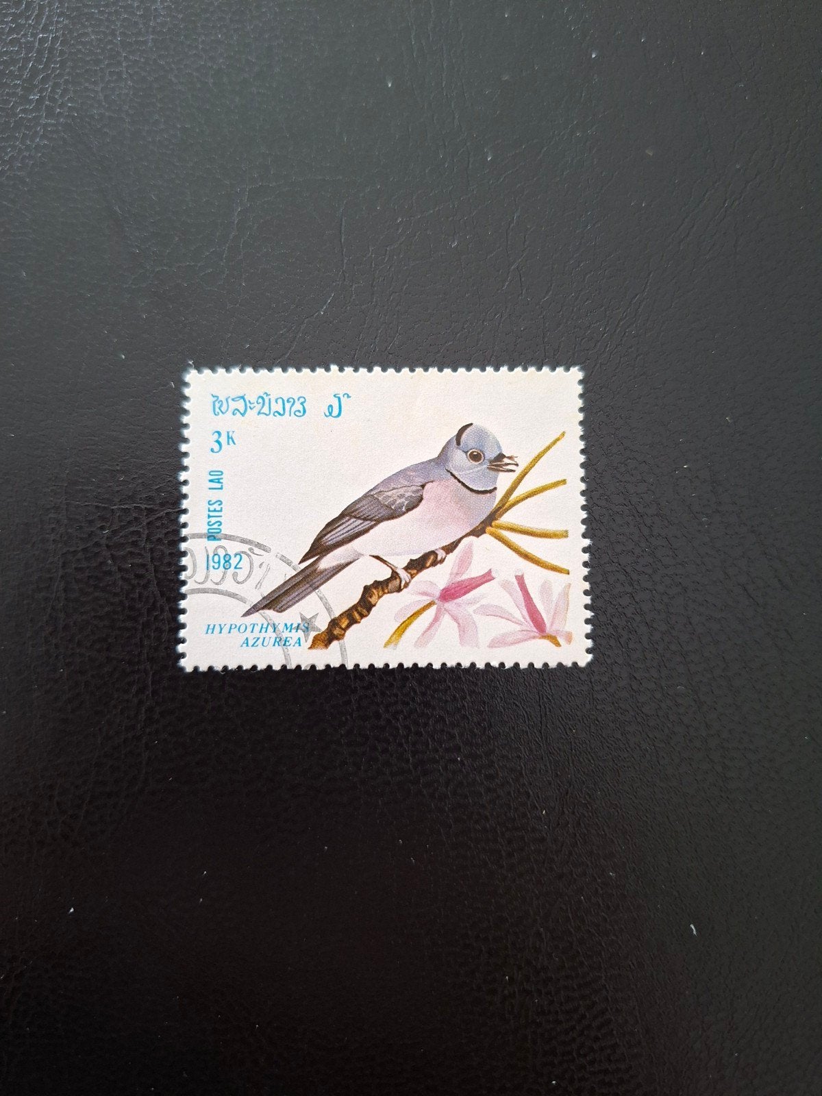Laos. Vogel. Duif., Ophalen of Verzenden, Dier of Natuur