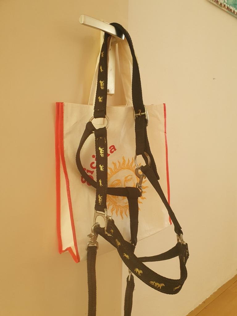 Halster XL. Mooi halster met goudversieringen., Dieren en Toebehoren, Ophalen of Verzenden, Overige soorten