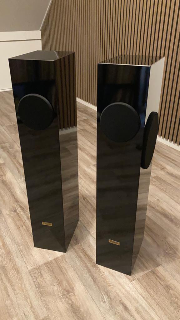 2x Hepta Spring excellence, prachtige staat!, Zo goed als nieuw, 60 tot 120 watt, Front, Rear of Stereo speakers, Ophalen