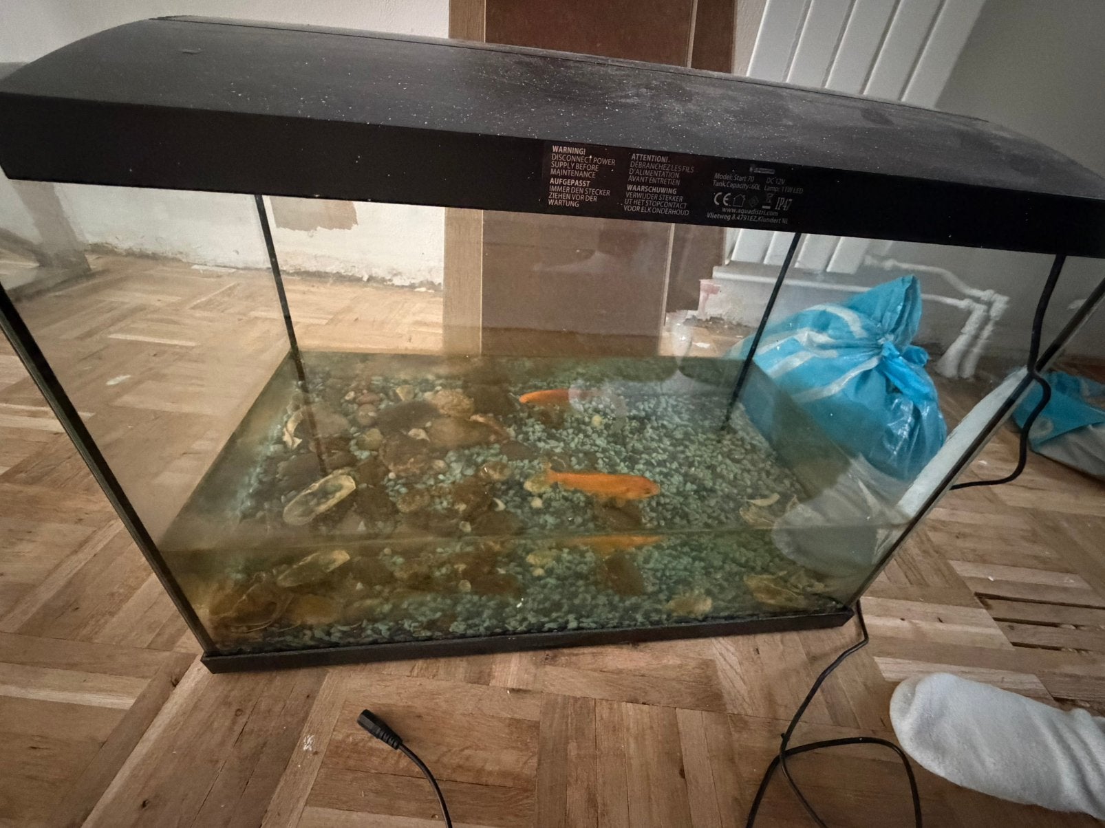 2 goudvissen, Dieren en Toebehoren, Ophalen, Zo goed als nieuw, Gevuld zoetwateraquarium
