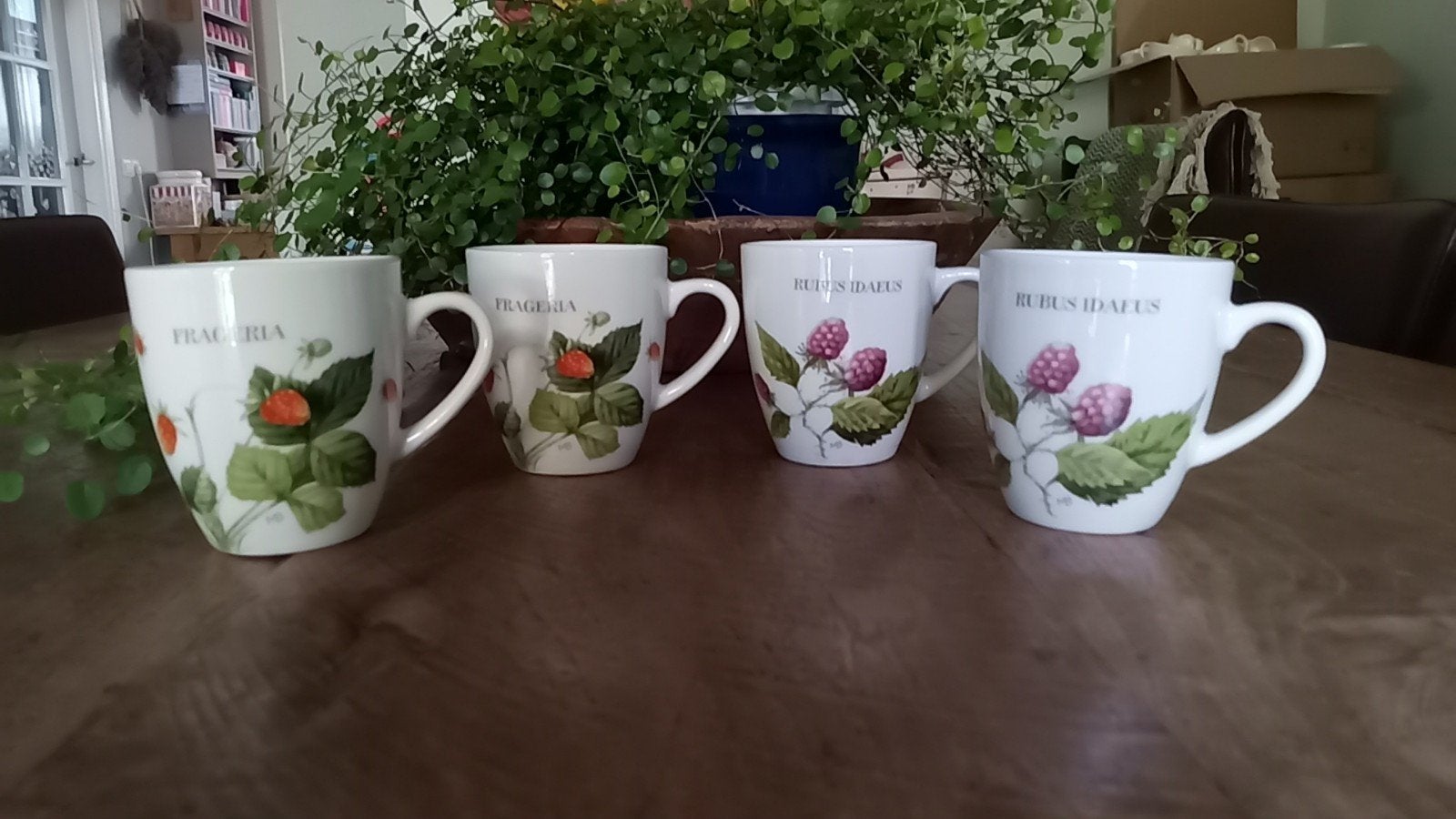 servies mokken Marjolein Bastin Wildflowers 4x, Ophalen of Verzenden, Zo goed als nieuw, Overige stijlen, Kop(pen) en/of Schotel(s)